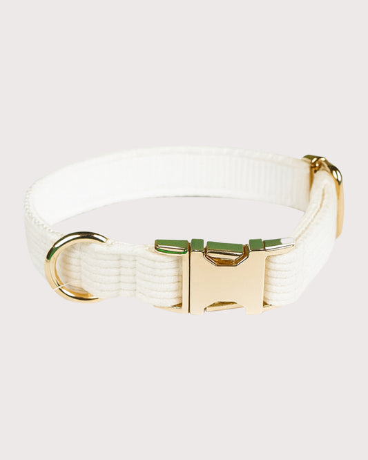 Furbeez Pet Accessories : White Dog Collar Small