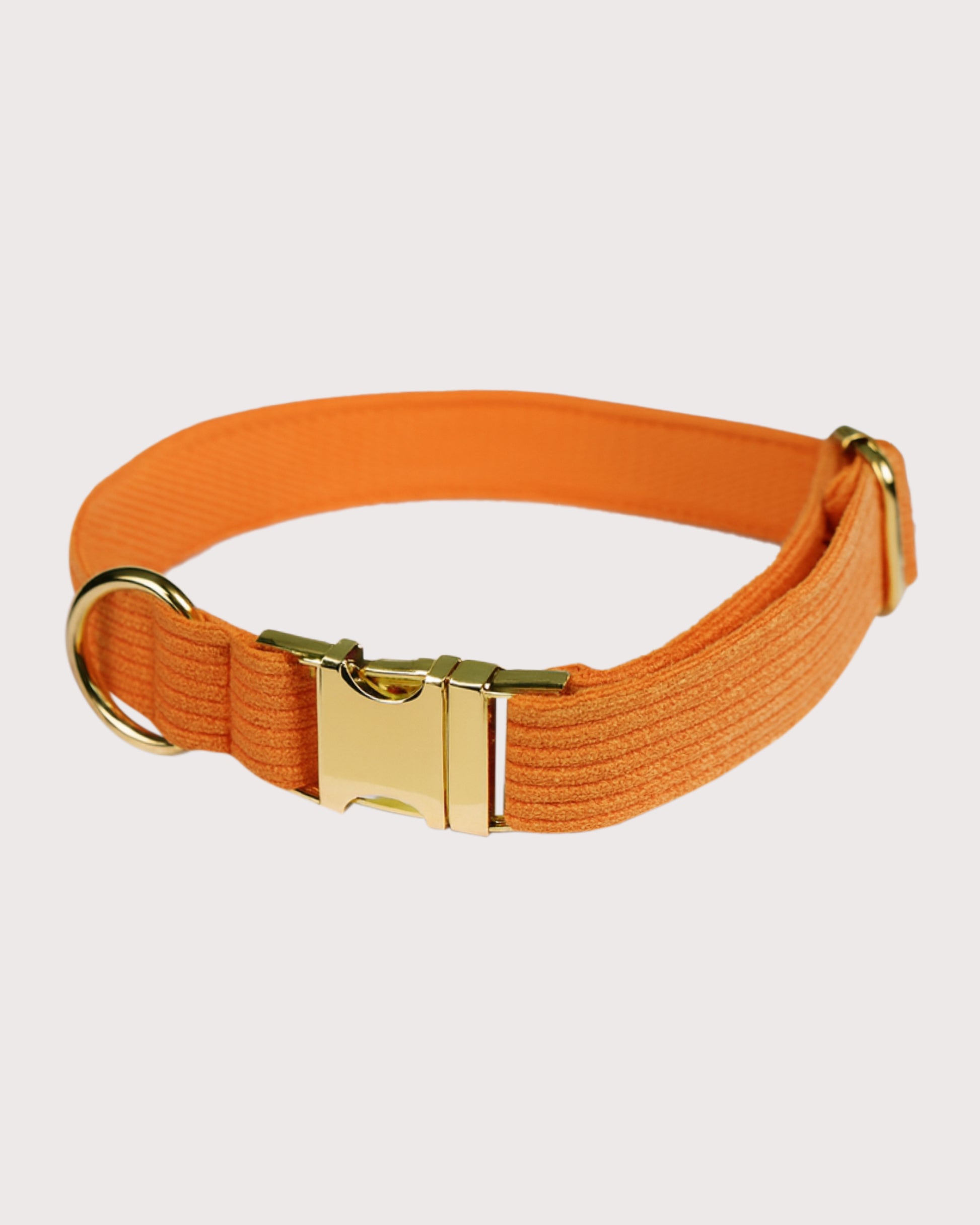 Furbeez Pet Accessories : Orange Dog Collar XL