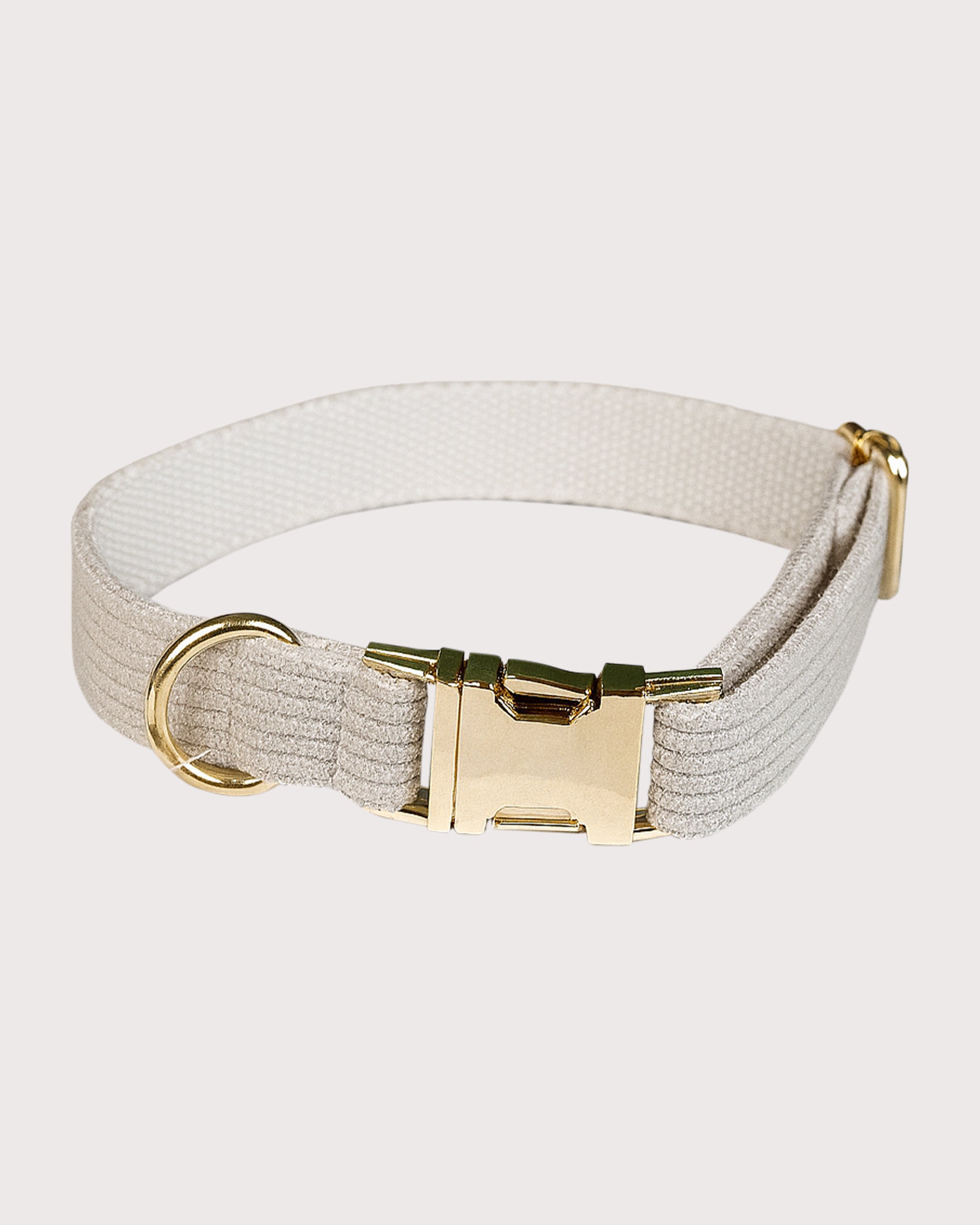 Furbeez Pet Accessories : Gray Dog Collar Medium