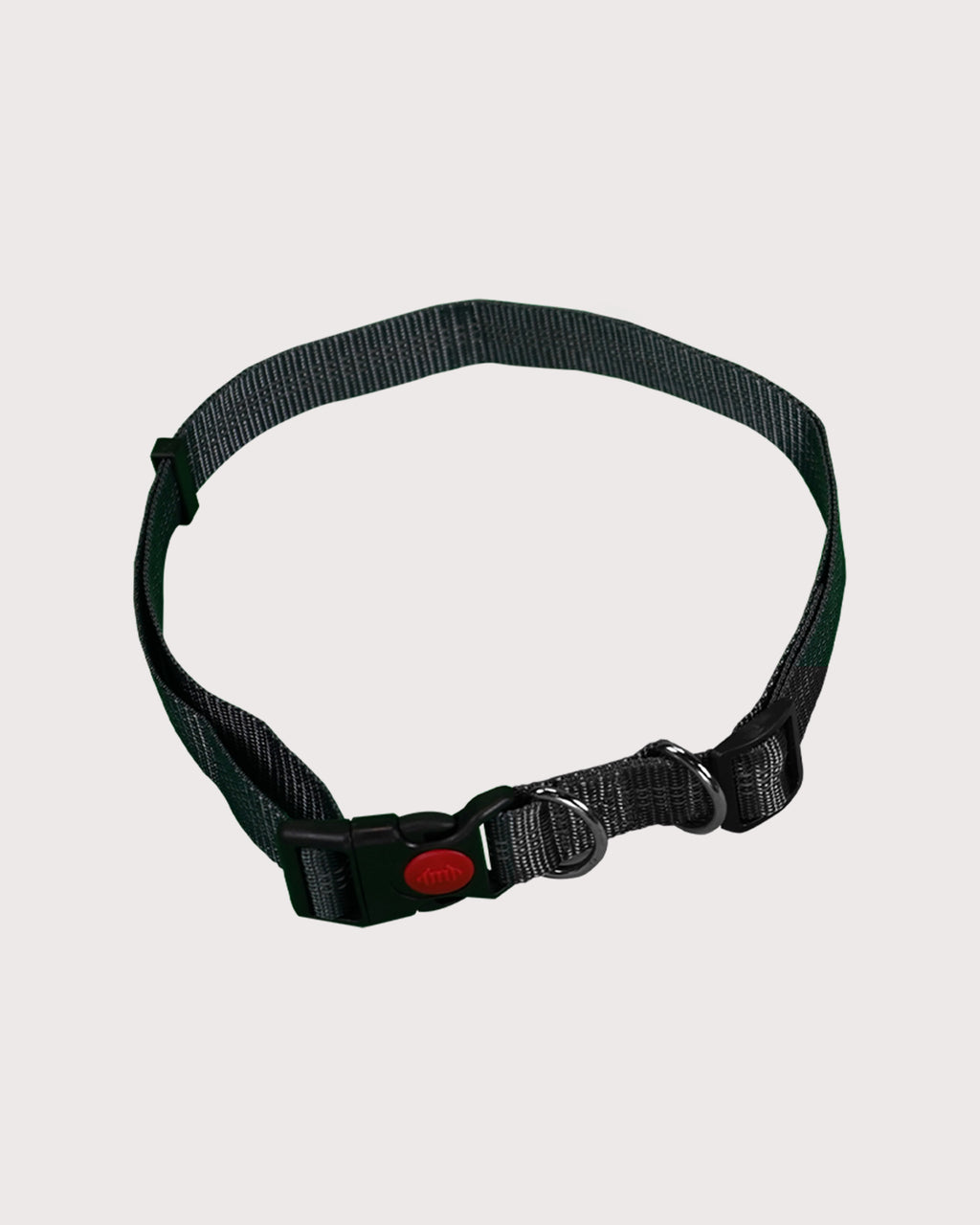 Furbeez Pet Accessories : Bungee Dog Leash For Jogging Geen/XL