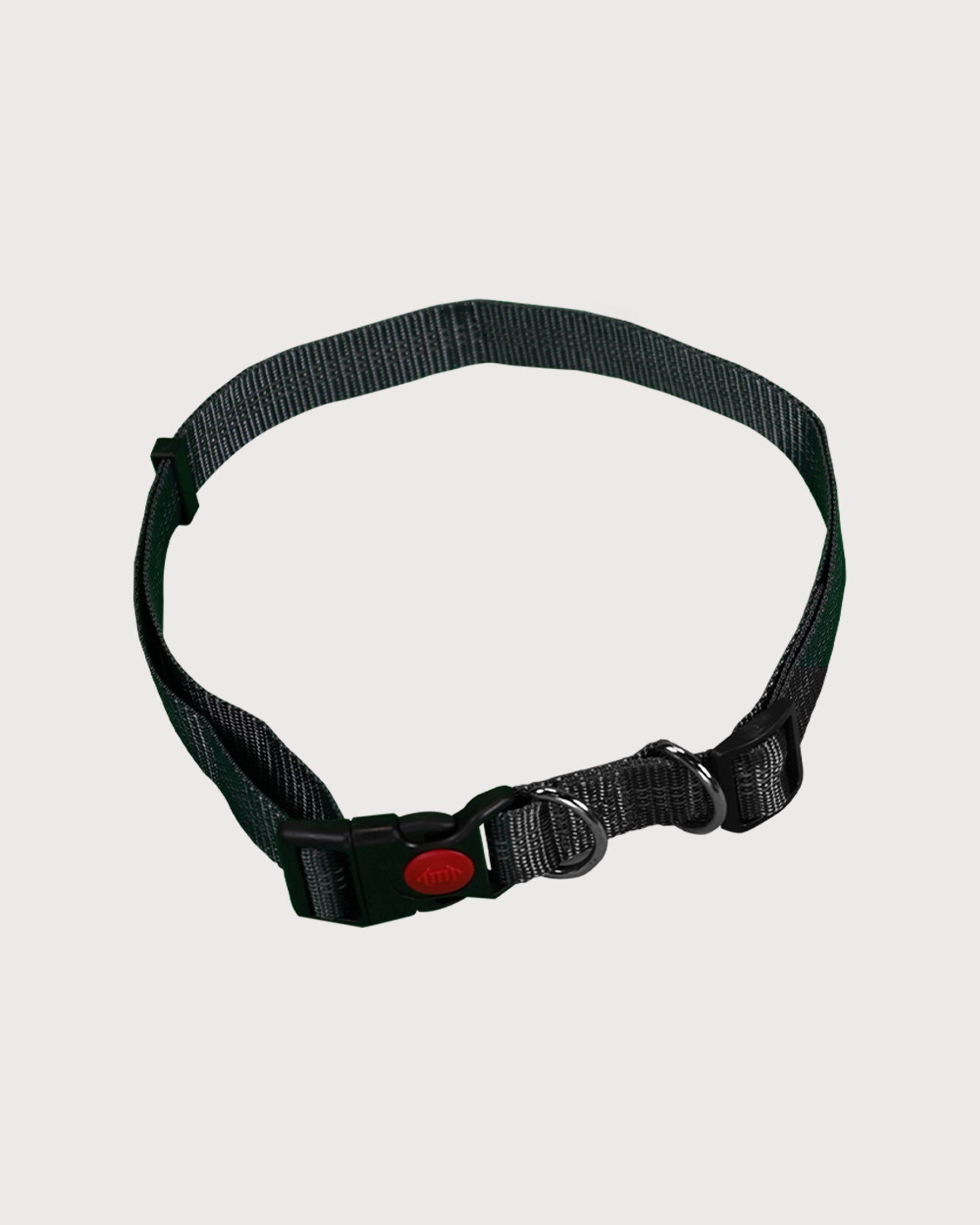 Furbeez Pet Accessories : Bungee Dog Leash For Jogging Geen/XL