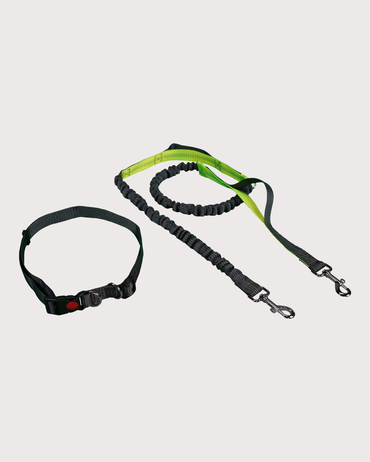 Furbeez Pet Accessories : Bungee Dog Leash For Jogging Geen/XL