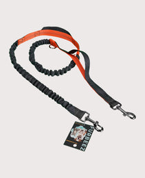 Furbeez Pet Accessories : Bungee Dog Leash For Jogging Orange/XL