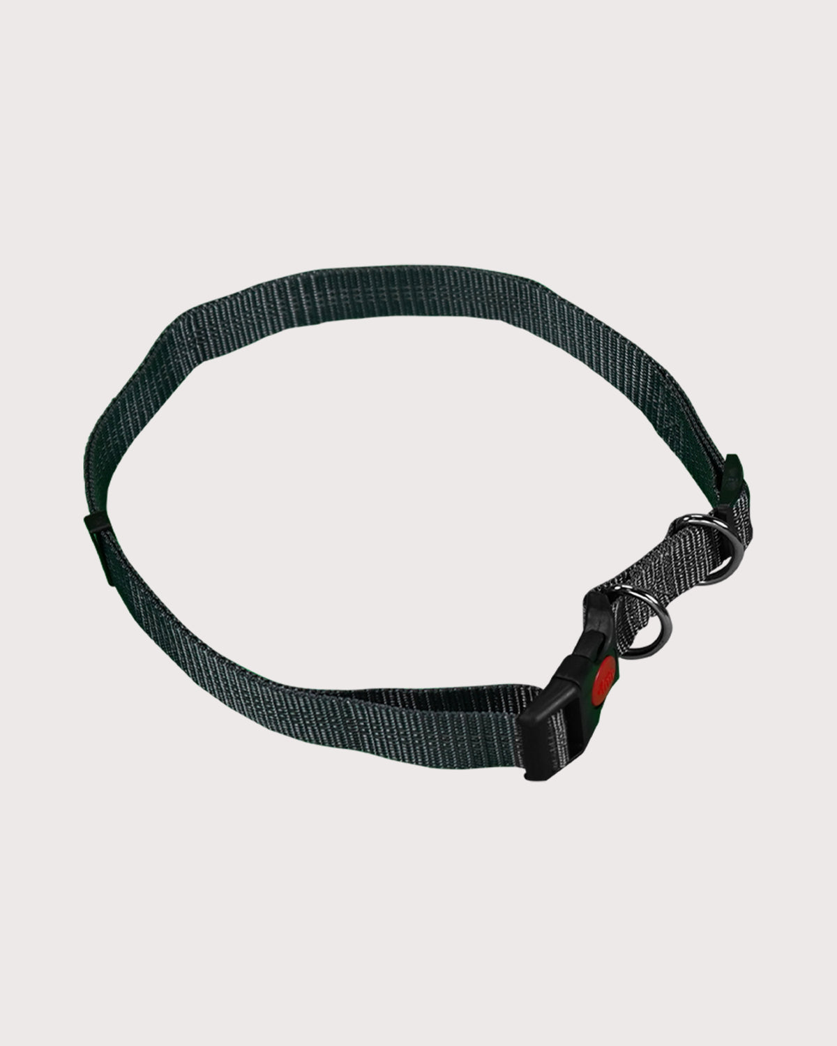 Furbeez Pet Accessories : Bungee Dog Leash For Jogging Orange/XL