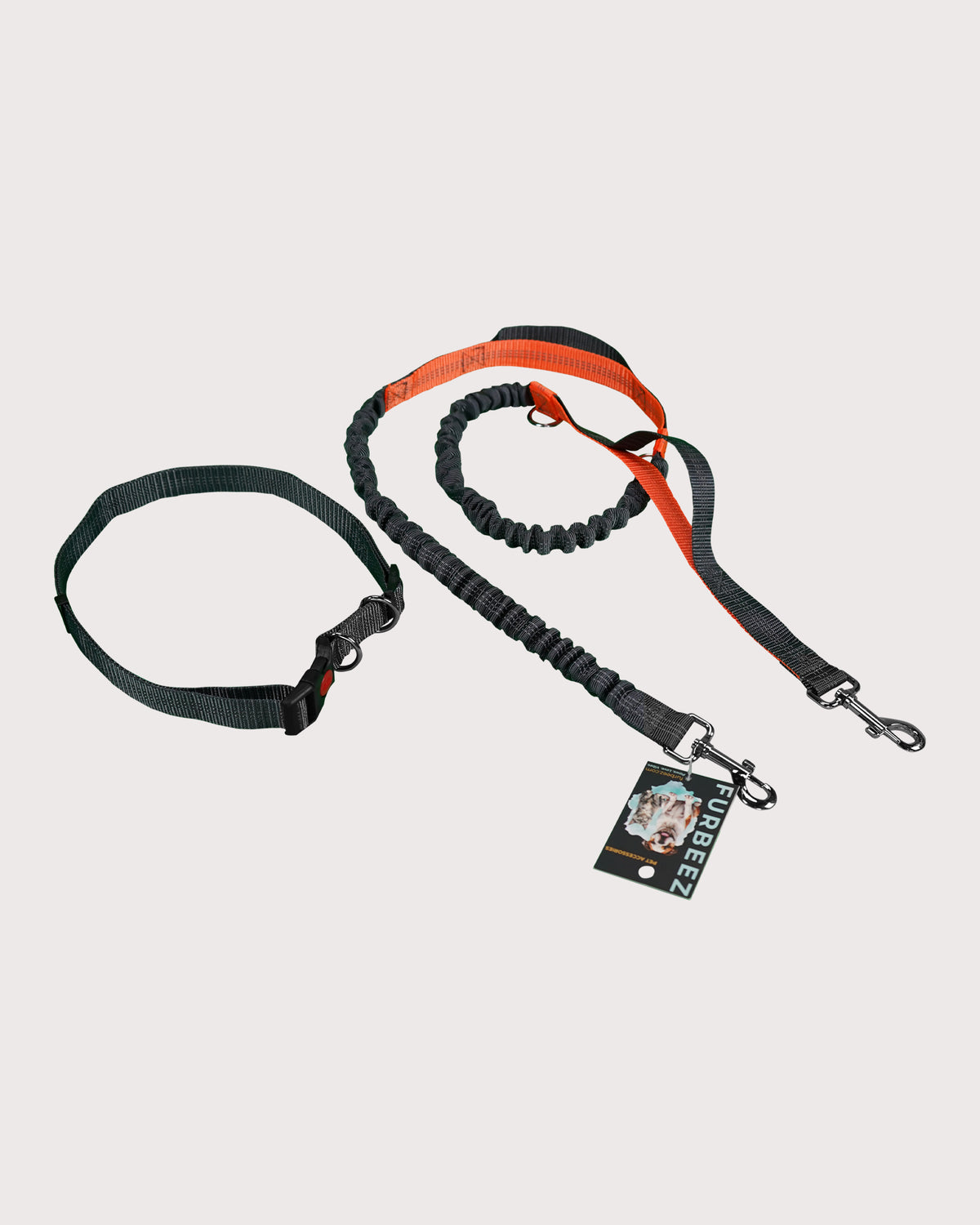 Furbeez Pet Accessories : Bungee Dog Leash For Jogging Orange/XL