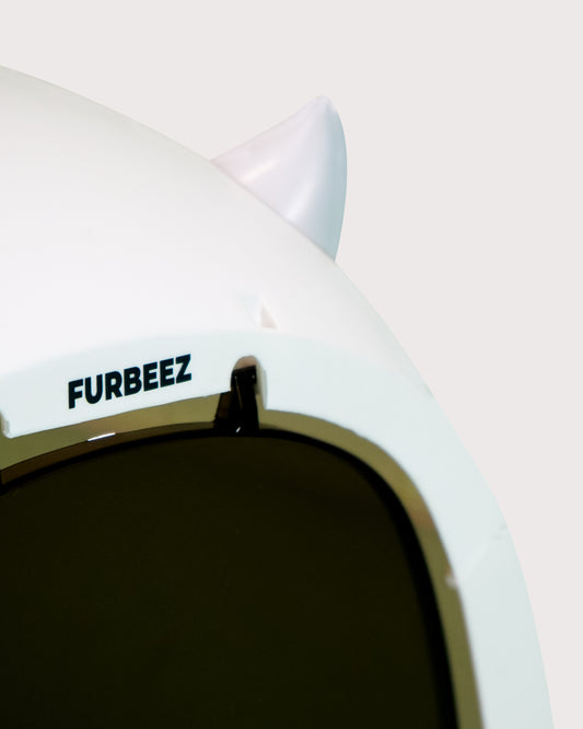 Furbeez Pet Accessories : Cat Litter Box with Lid