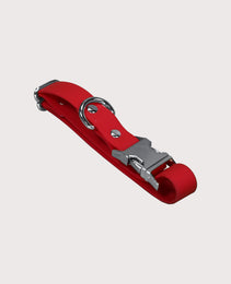 Furbeez Pet Accessories : Dog Collar & Leash waterproof set Red/Medium