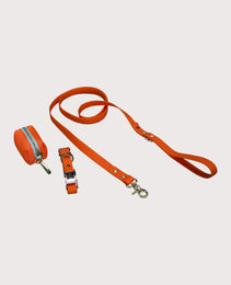 Furbeez Pet Accessories : Dog Collar & Leash waterproof set Orange Small