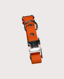 Furbeez Pet Accessories : Dog Collar & Leash waterproof set Orange Small