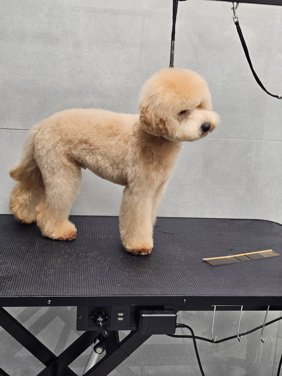 Teddyson