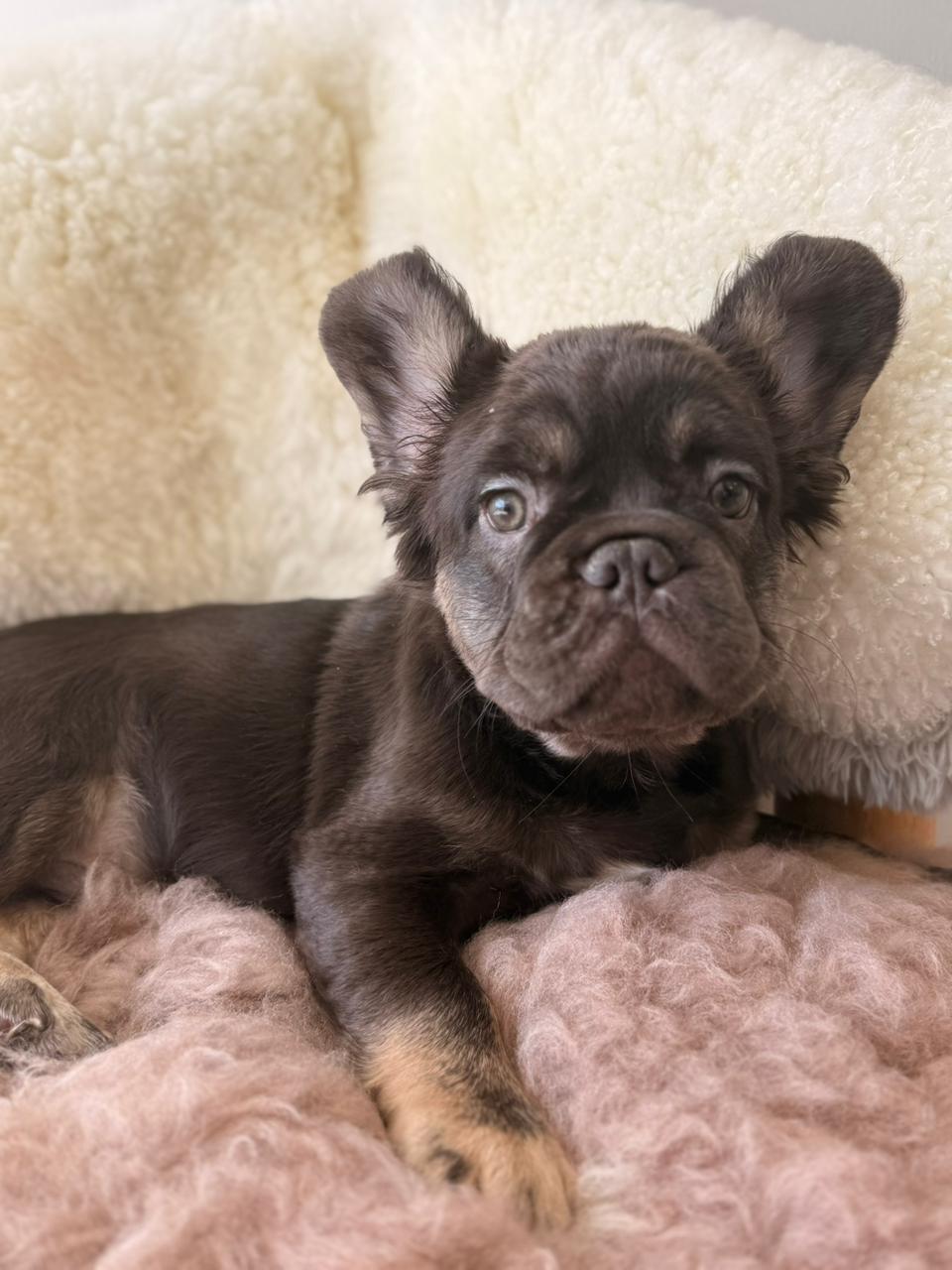 Onyx