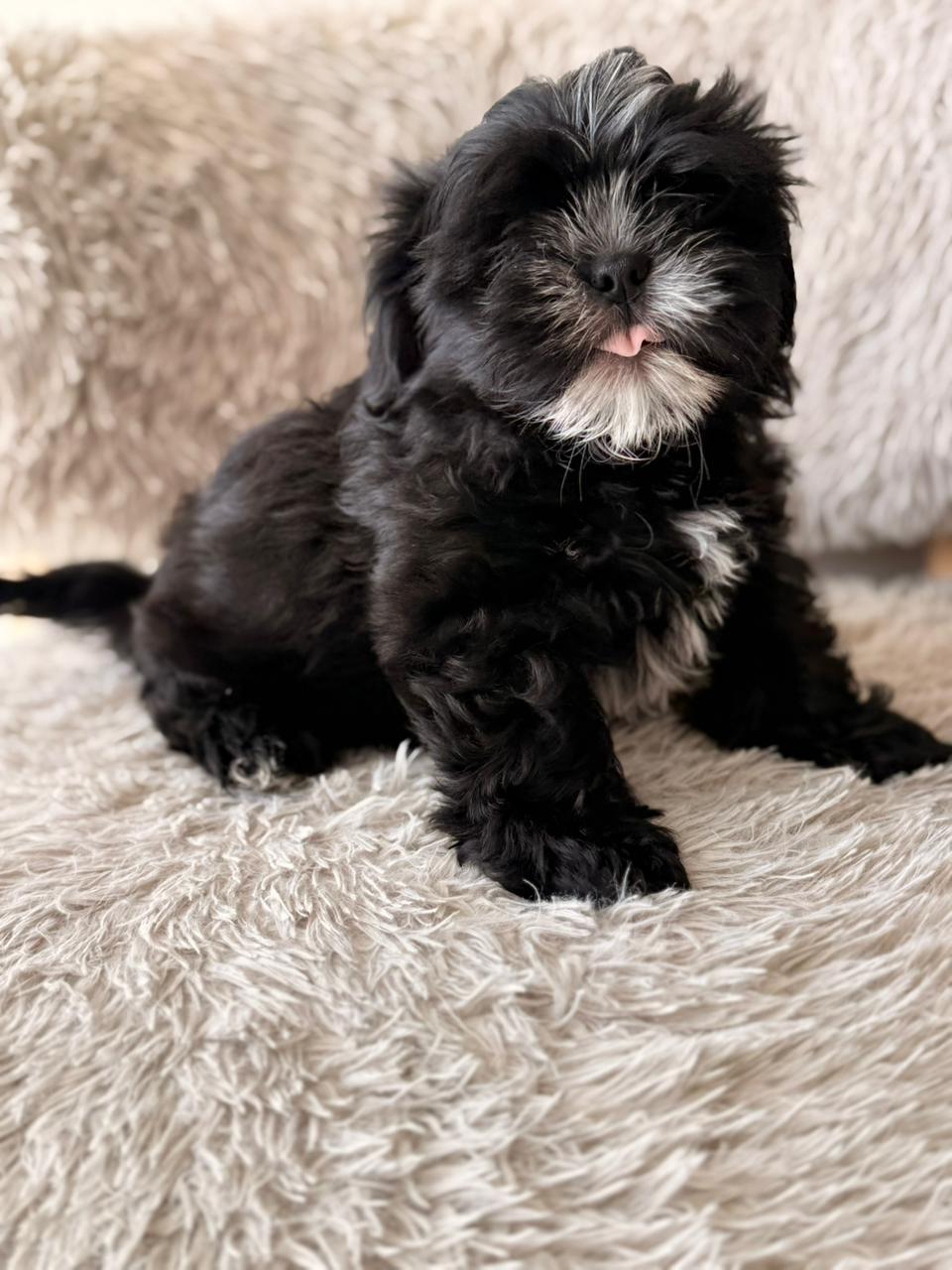 Cooper