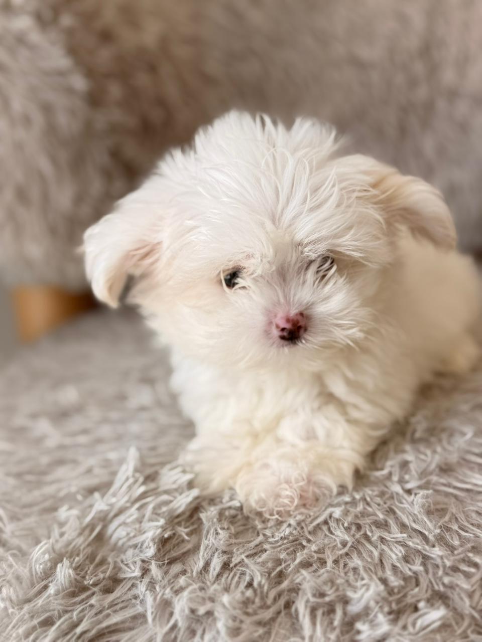 Cloud