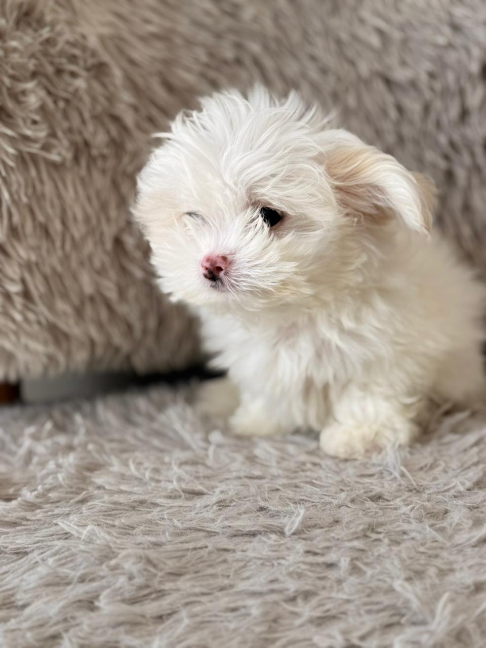 Cloud