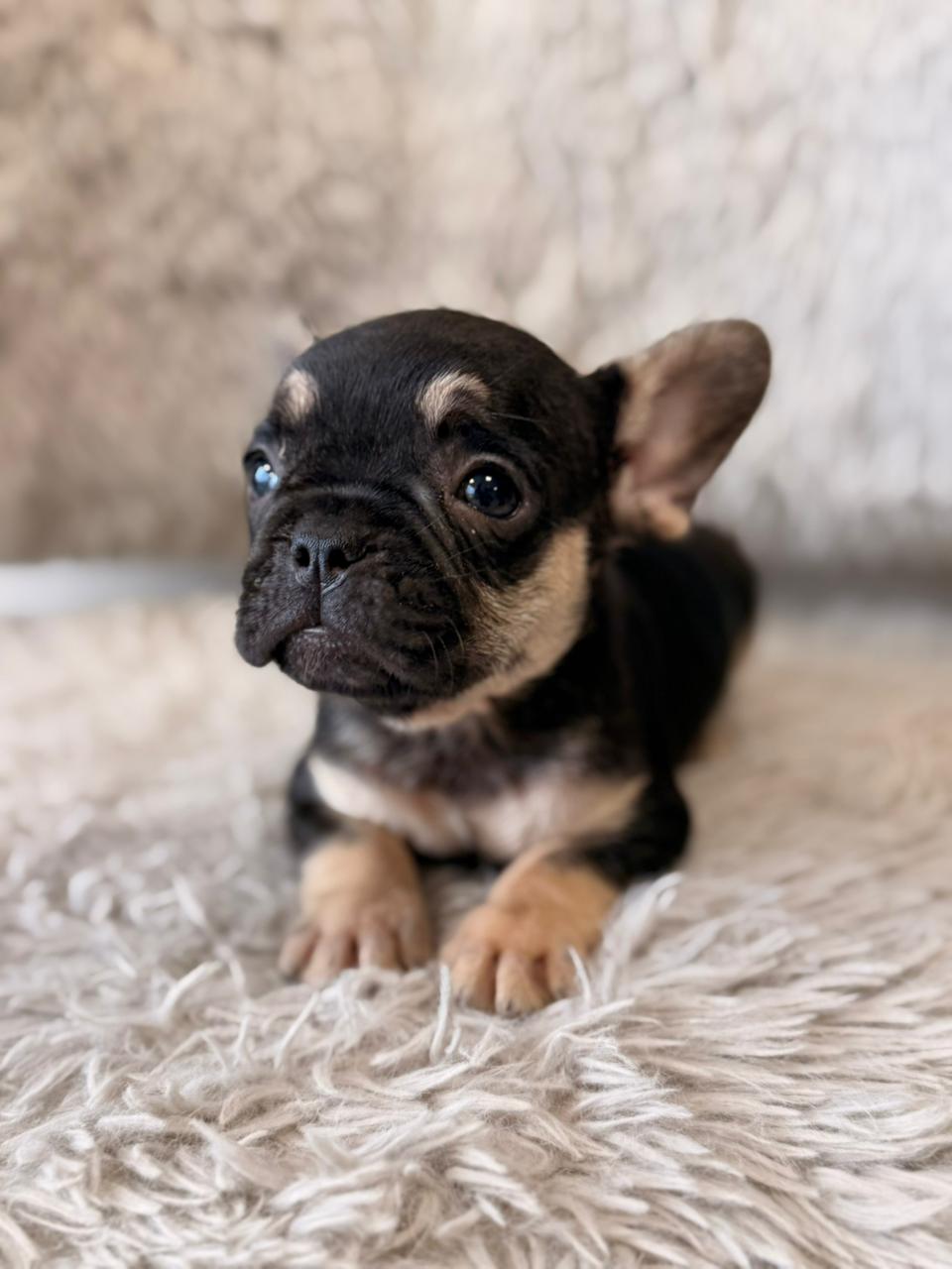 Nala