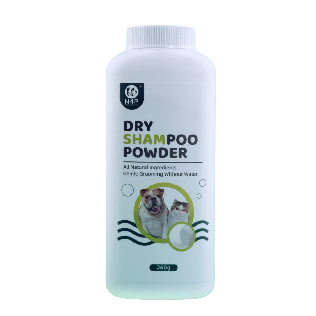 N4P: Dry Shampoo Powder N4P