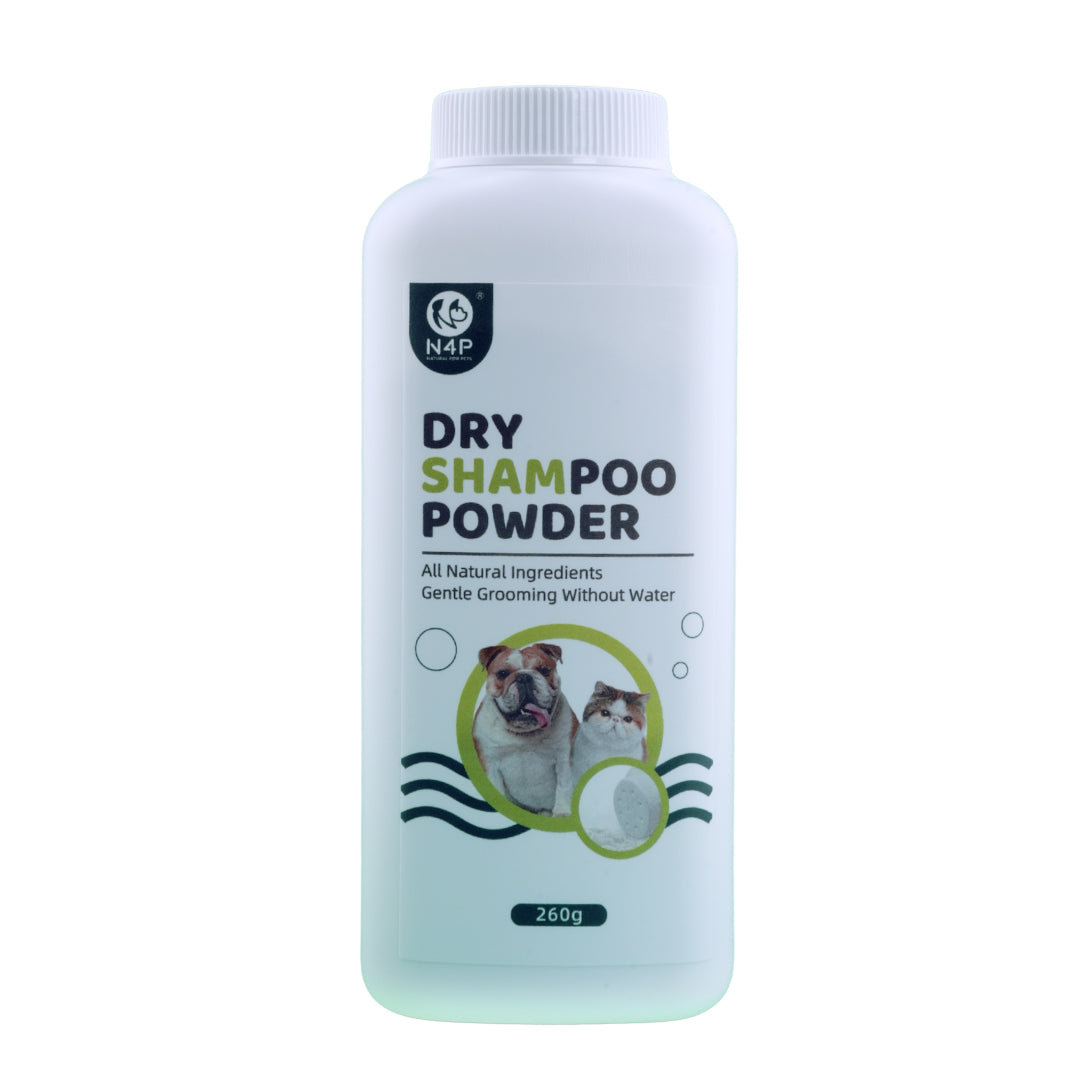N4P: Dry Shampoo Powder N4P