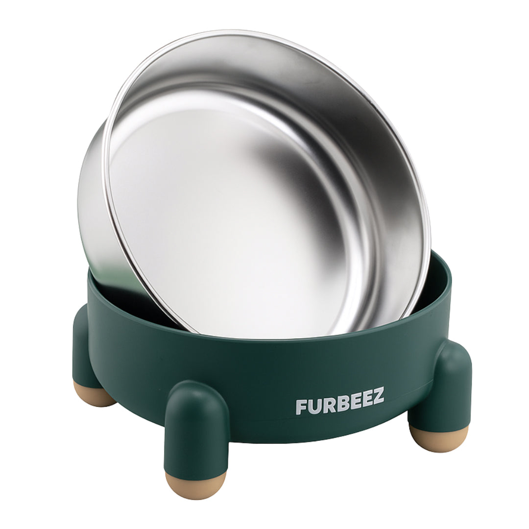 Furbeez Pet Accessories : SS Pet Water/Food Bowl Green Furbeez