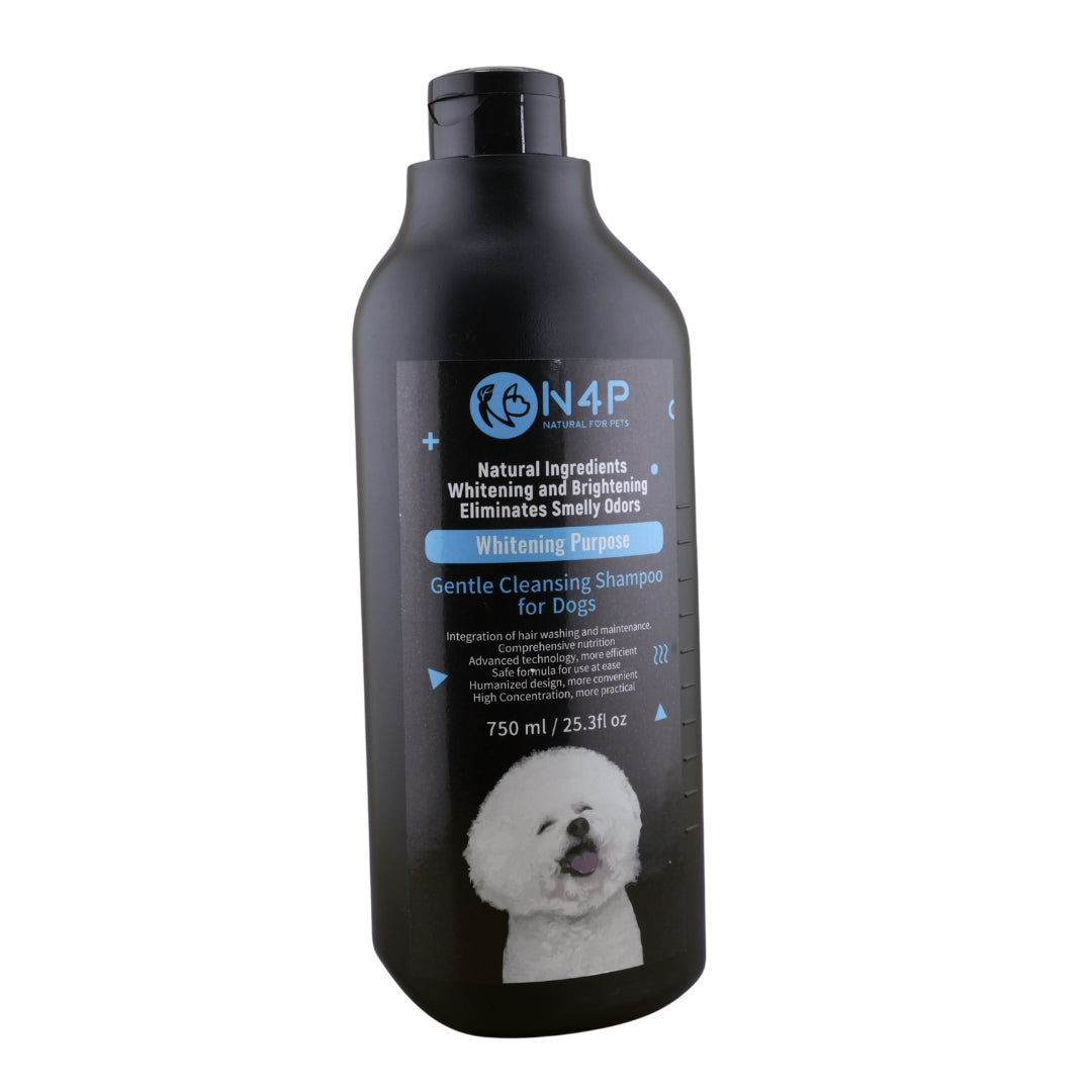 N4P Shampoo : Whitening Purpose