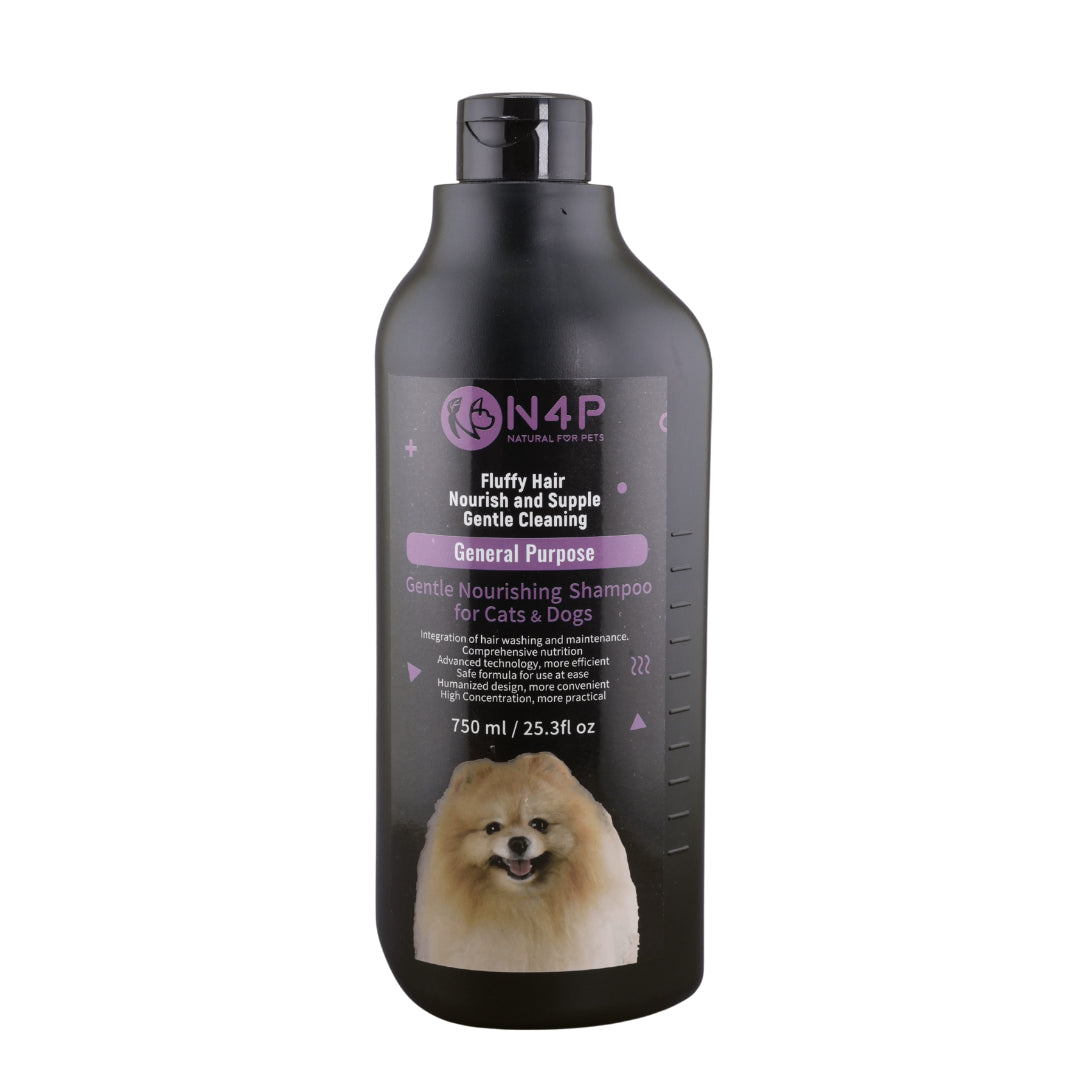 N4P Shampoo : General Purpose