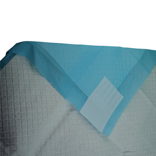 Furbeez Pet Essentials : Training Pads/Medium