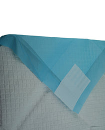 Furbeez Pet Essentials : Training Pads/Small