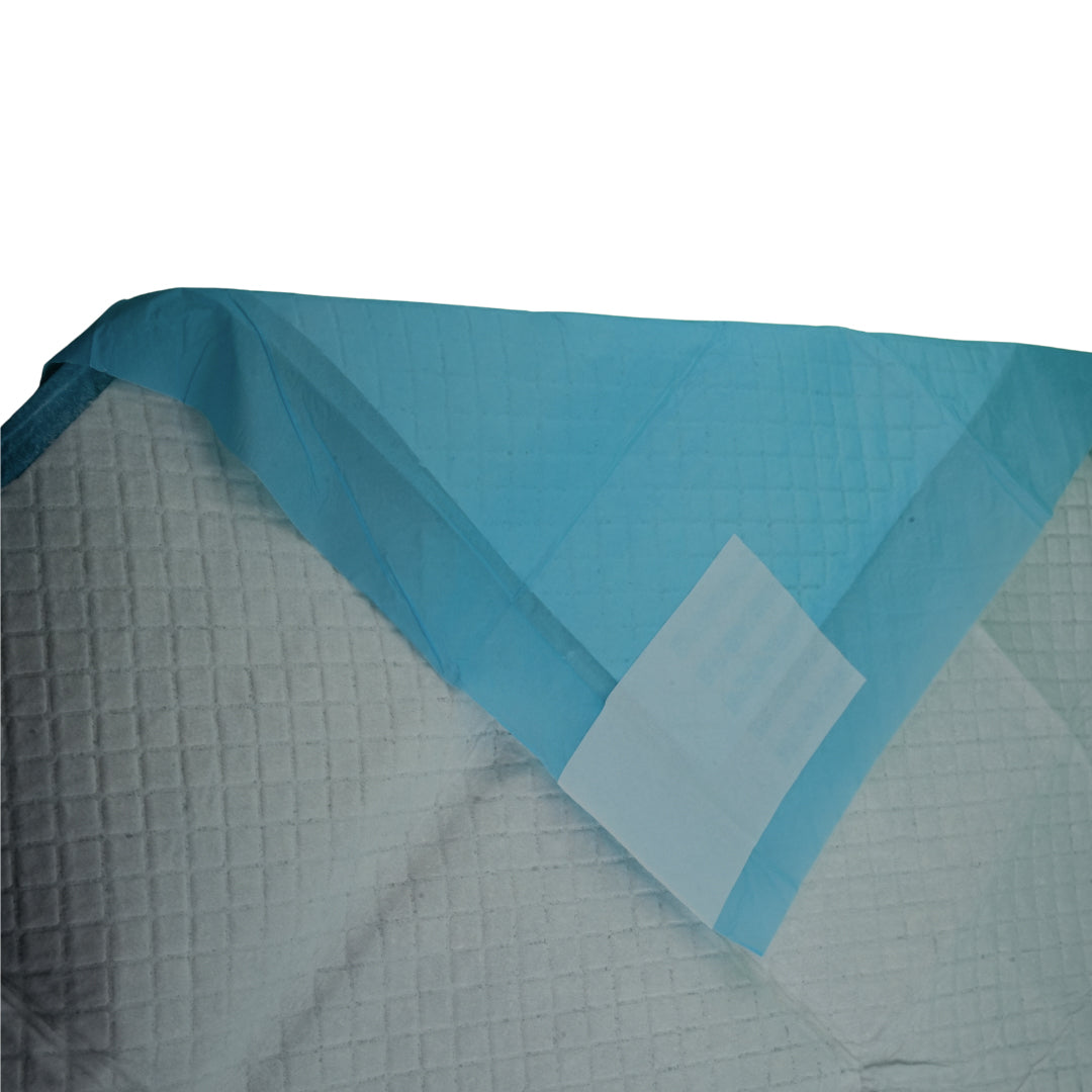 Furbeez Pet Essentials : Training Pads/Large