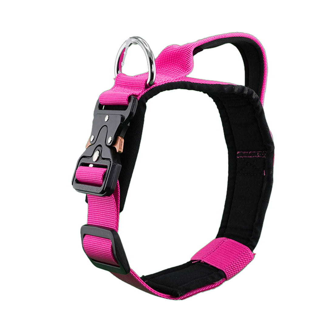 Furbeez Pet Accessories : Rose Tactical Dog Collar Medium Furbeez