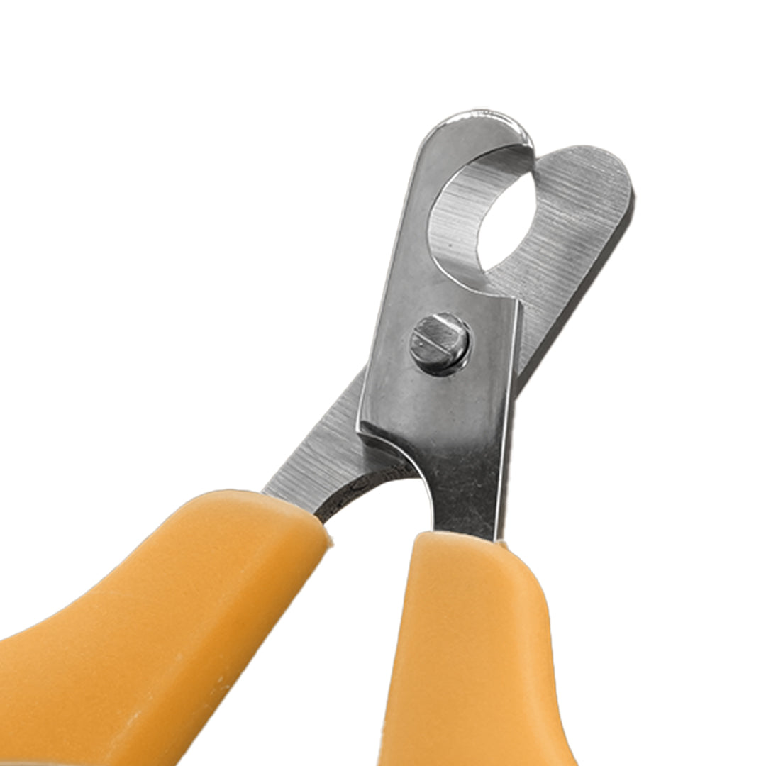 Furbeez Grooming Accessories: Pet Nail clipper Orange Furbeez