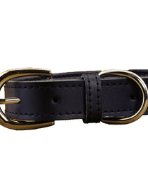 Furbeez Pet Accessories : Black Leather Classic Soft Dog Collar Collar Large Furbeez