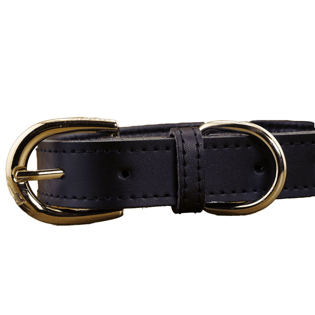 Furbeez Pet Accessories : Black Leather Classic Soft Dog Collar Collar Large Furbeez