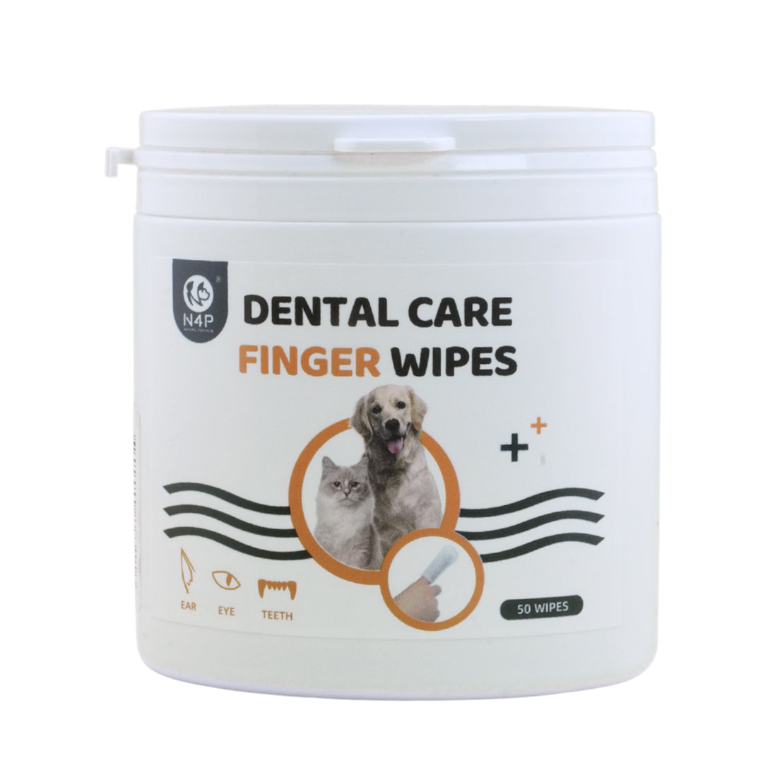 N4P: Dental Care Finger Wipes N4P