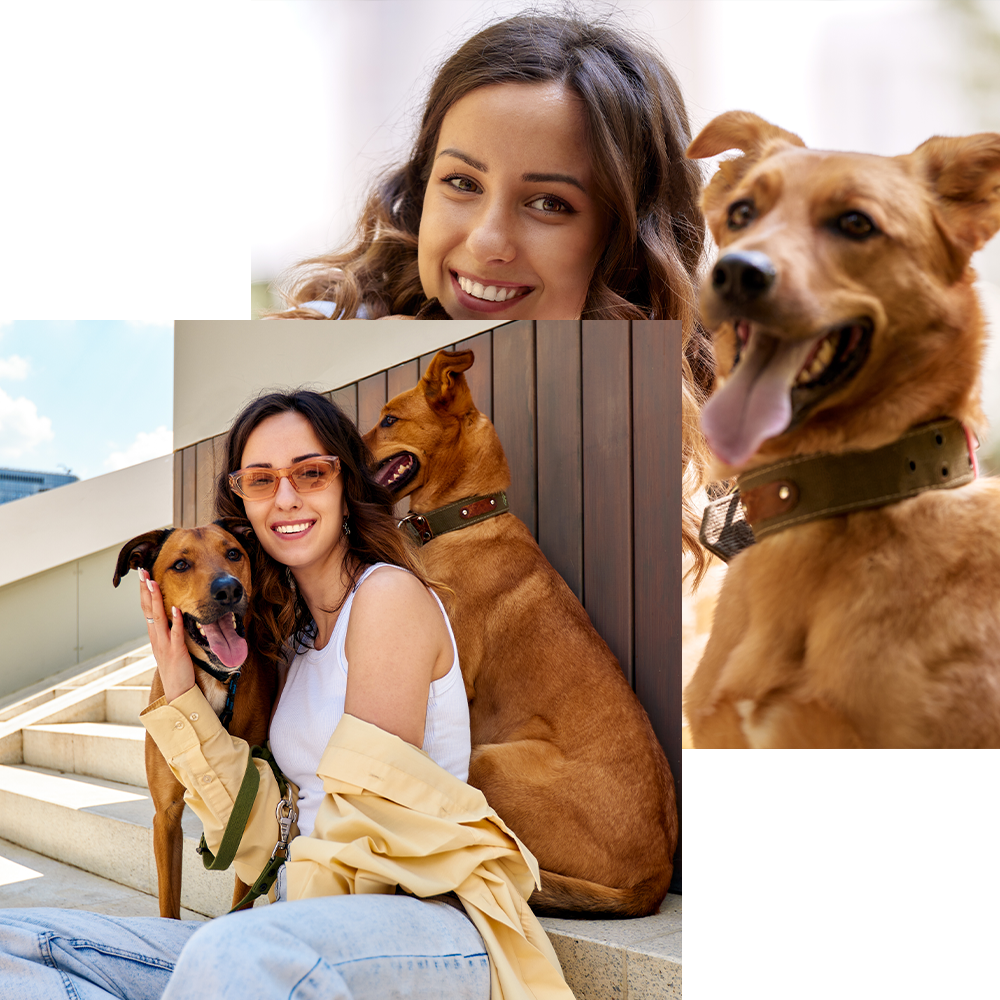 a beautiful lady with her 2 big dogs - europets uae
