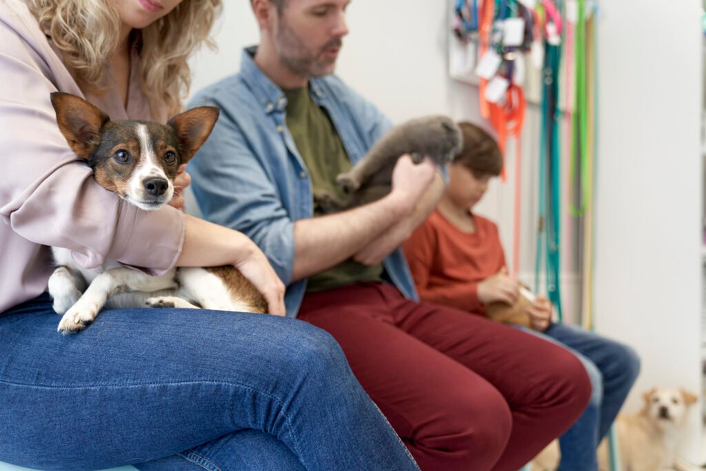 The Benefits of Professional Pet Grooming: Why Your Pet Deserves the Best