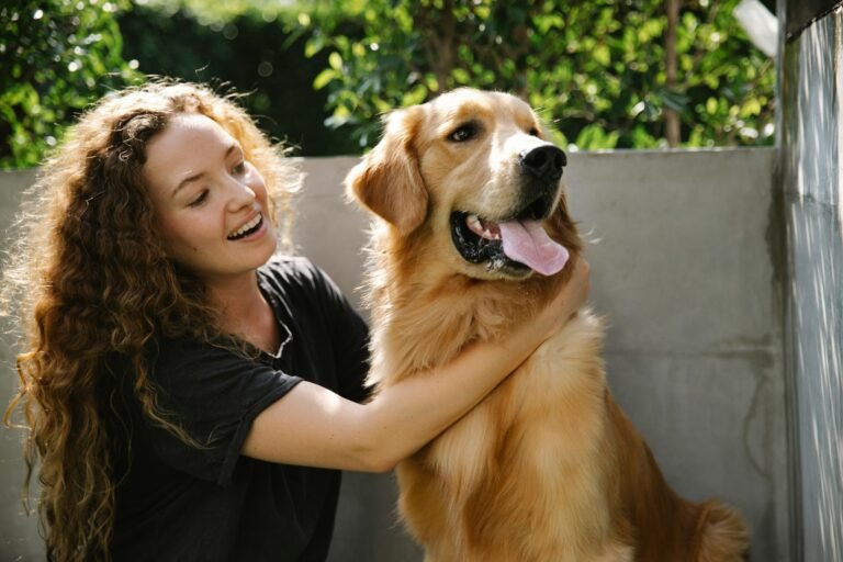 10 Vet-Approved Tips to Protect Your Pet in Dubai’s Summers