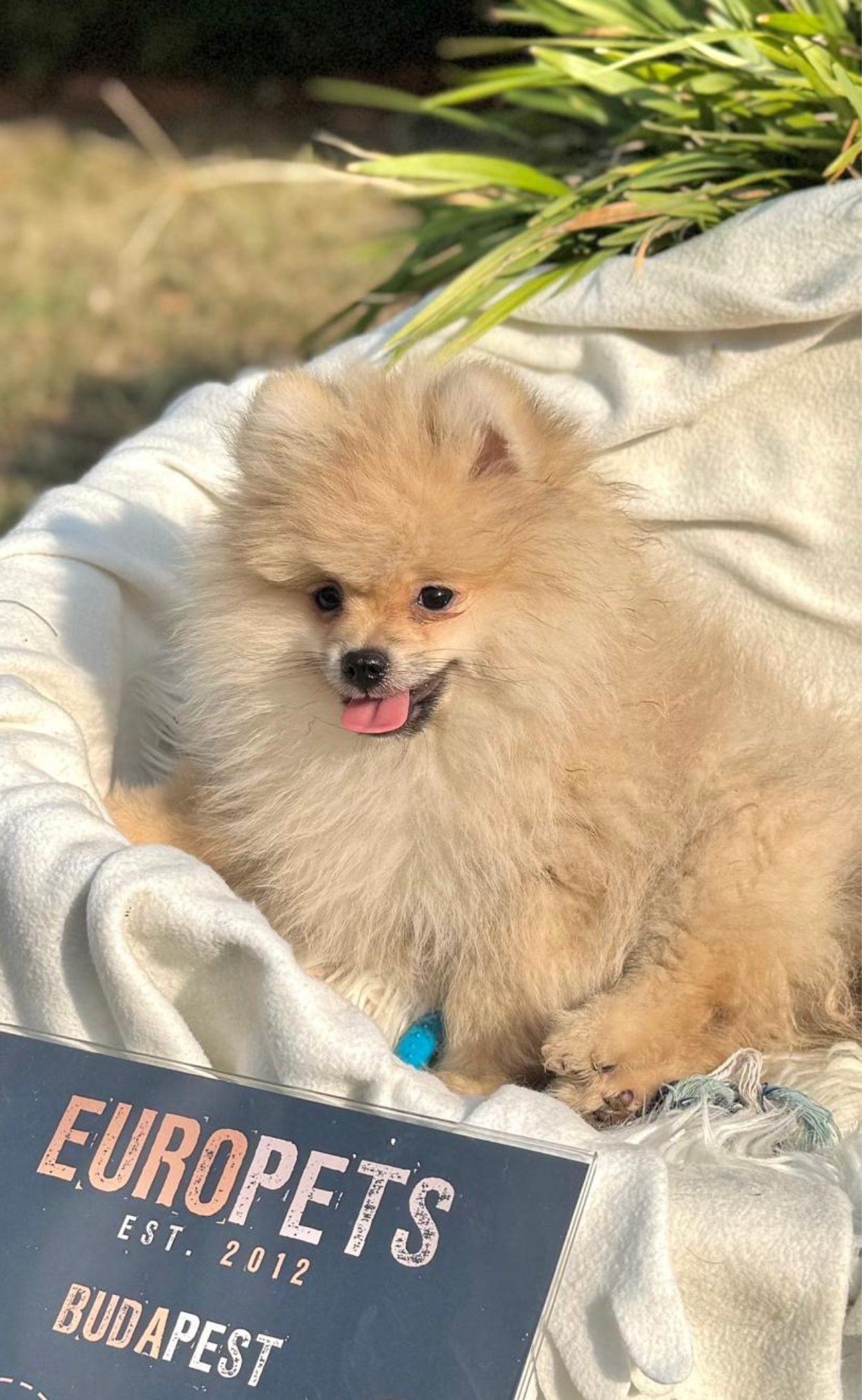 Milo